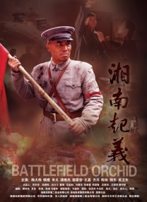 国产高清在线精品一区二区